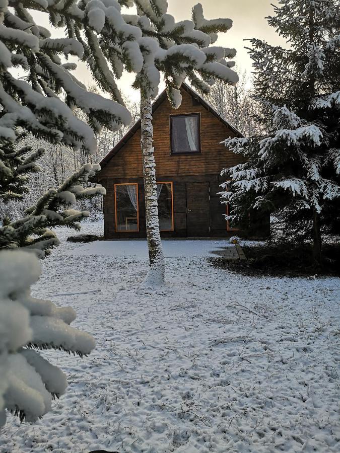 Brivdienu Maja "Raudini" Villa Kaltene Exterior foto