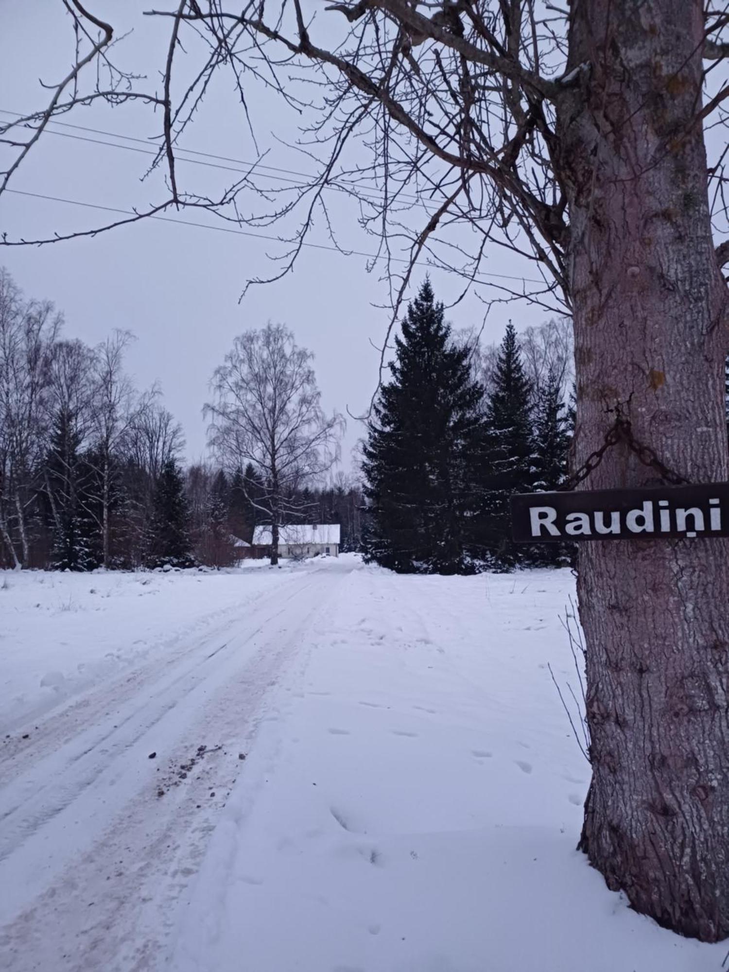 Brivdienu Maja "Raudini" Villa Kaltene Exterior foto