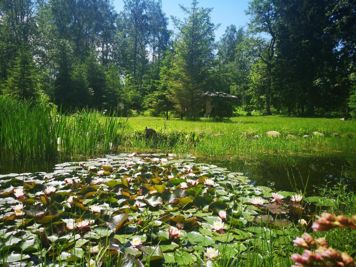 Brivdienu Maja "Raudini" Villa Kaltene Exterior foto